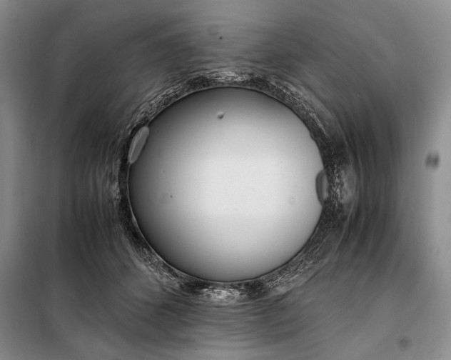 X0000098120512200804181524
