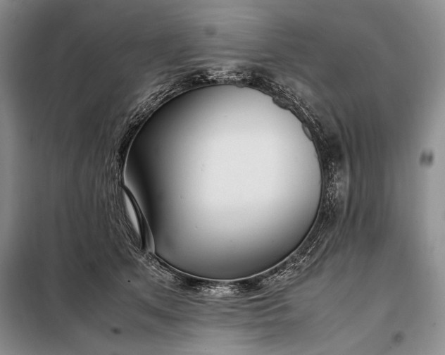 X0000098120513200804181524