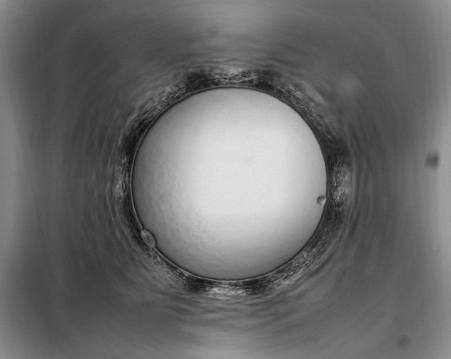 X0000098120515200804181524
