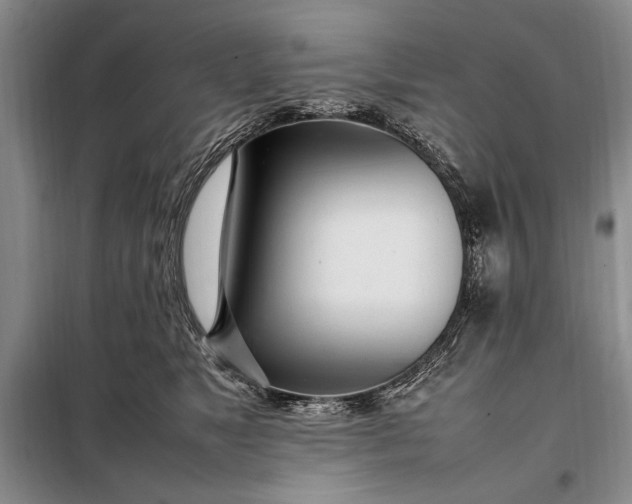 X0000098120517200804181524