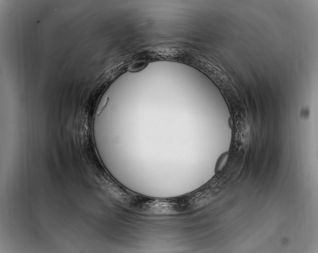 X0000098120518200804181524