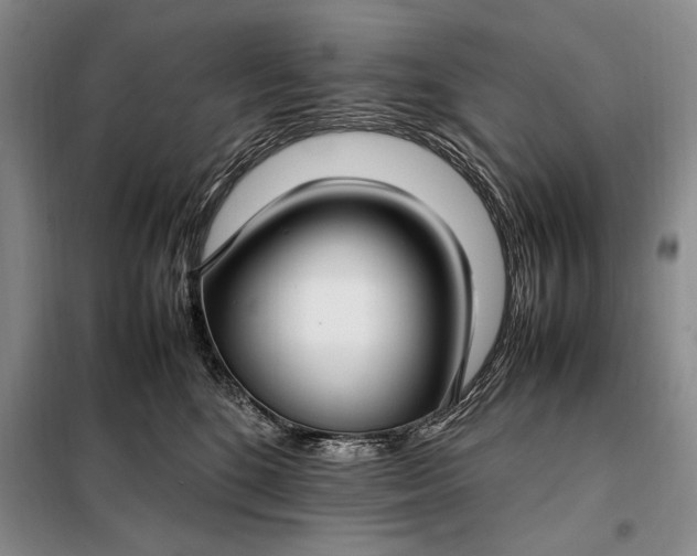X0000098120520200804181524