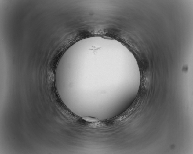 X0000098120521200804181524