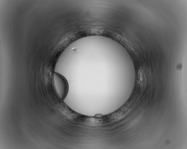 X0000098120522200804181524