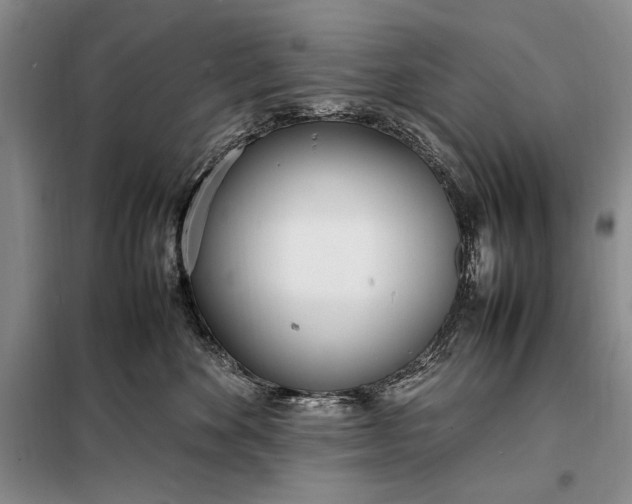 X0000098120524200804181523