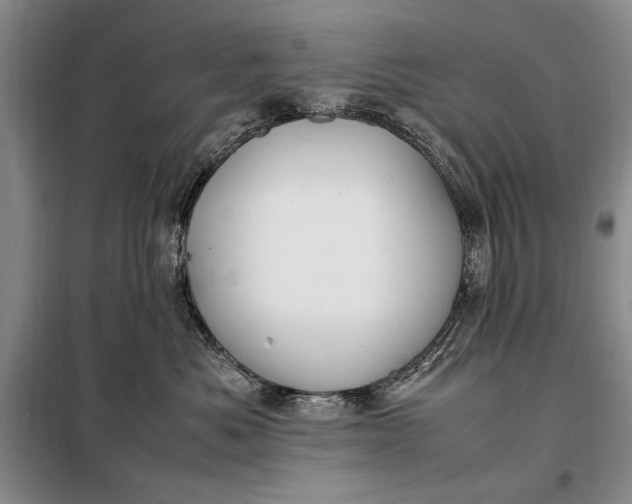 X0000098120525200804181523