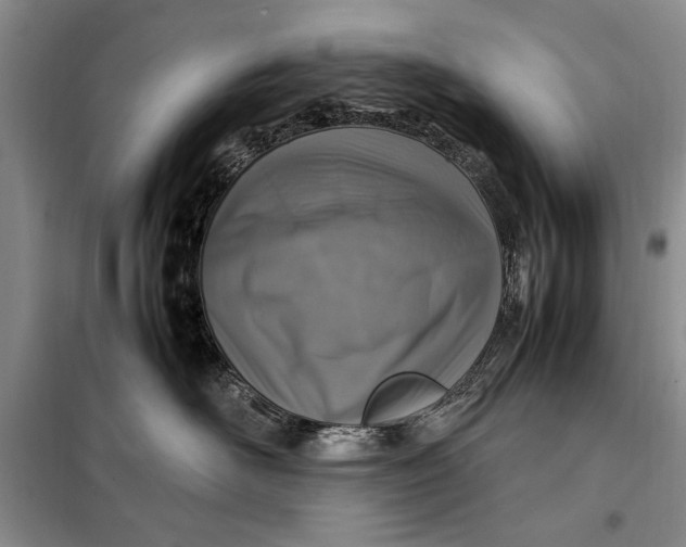 X0000098120526200804181523