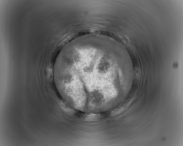 X0000098120527200804181523