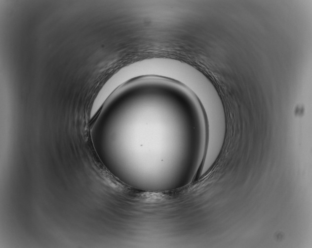 X0000098120528200804181523