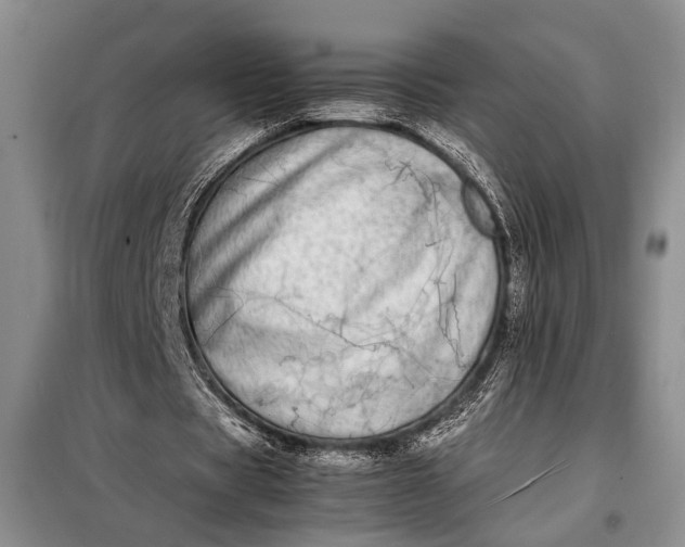 X0000098120529200804181523