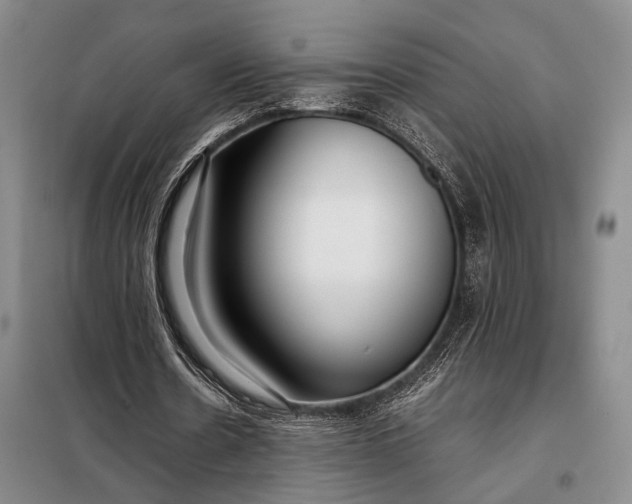 X0000098120530200804181523