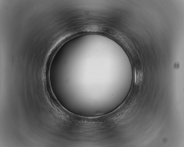 X0000098120531200804181523