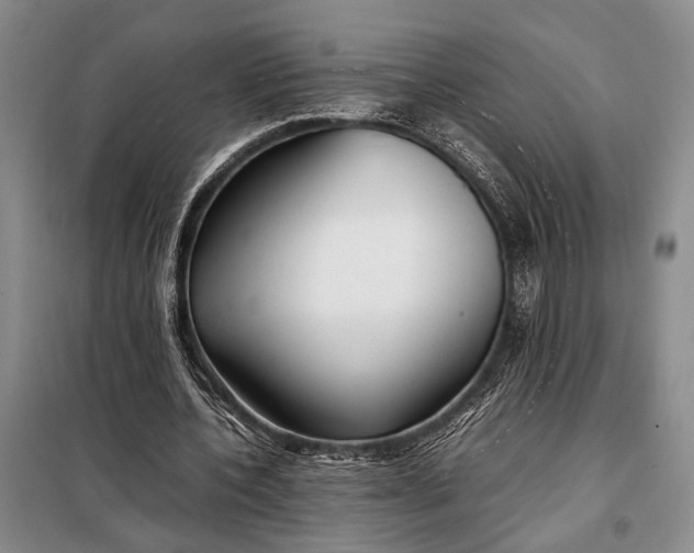 X0000098120532200804181523