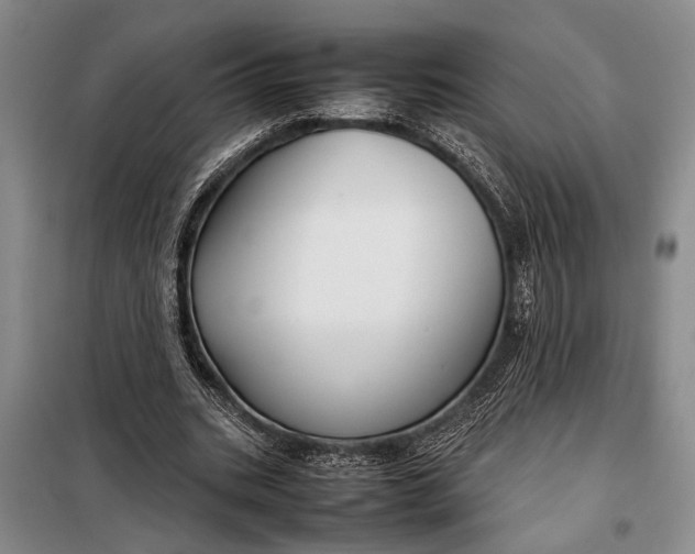 X0000098120535200804181523