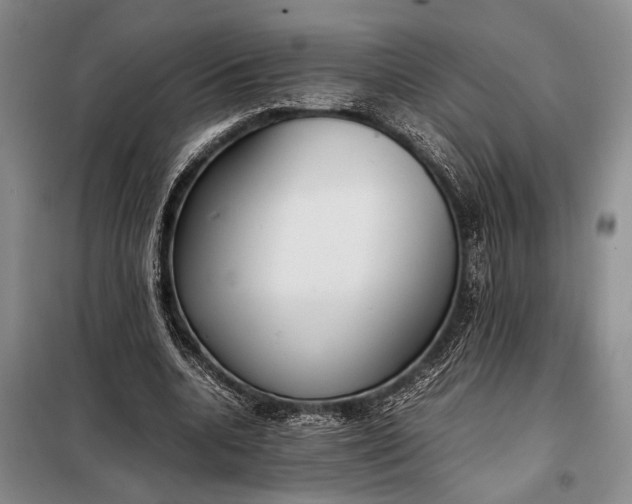 X0000098120536200804181523
