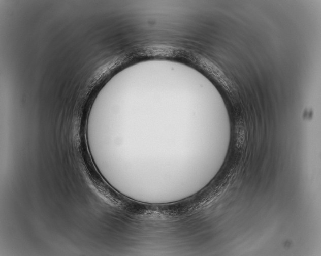 X0000098120538200804181523