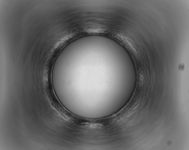 X0000098120539200804181523