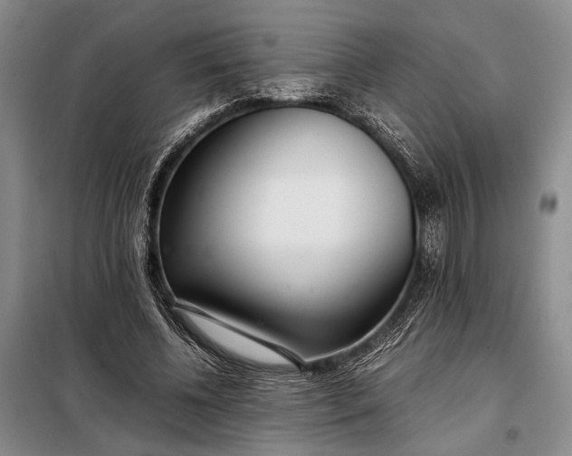X0000098120540200804181523
