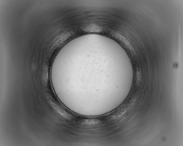 X0000098120541200804181523