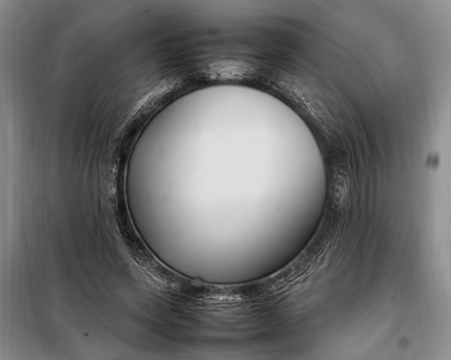 X0000098120543200804181523