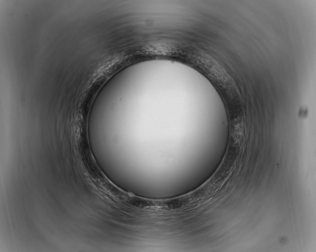 X0000098120544200804181523