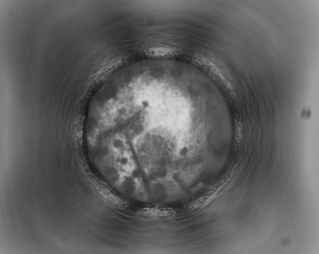 X0000098120545200804181523