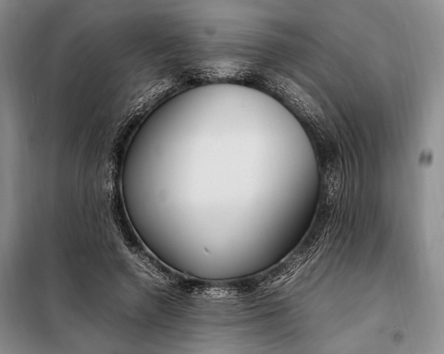 X0000098120546200804181523