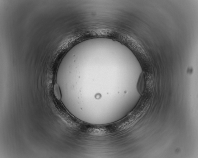 X0000098120548200804181523