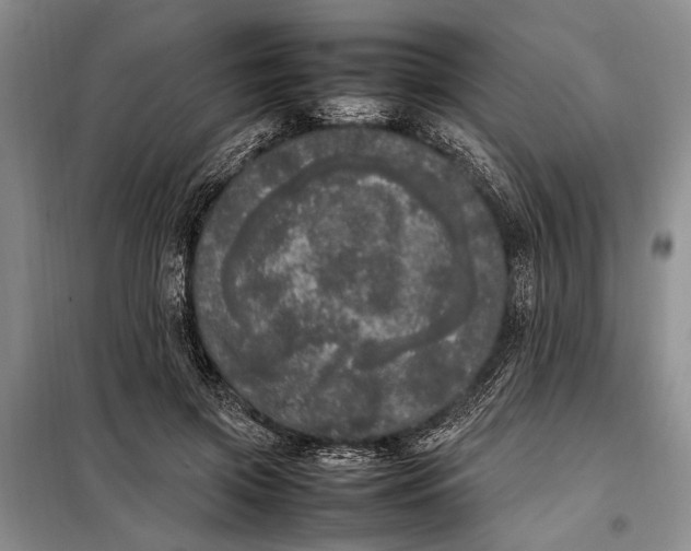 X0000098120549200804181523