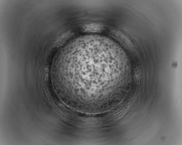 X0000098120551200804181523