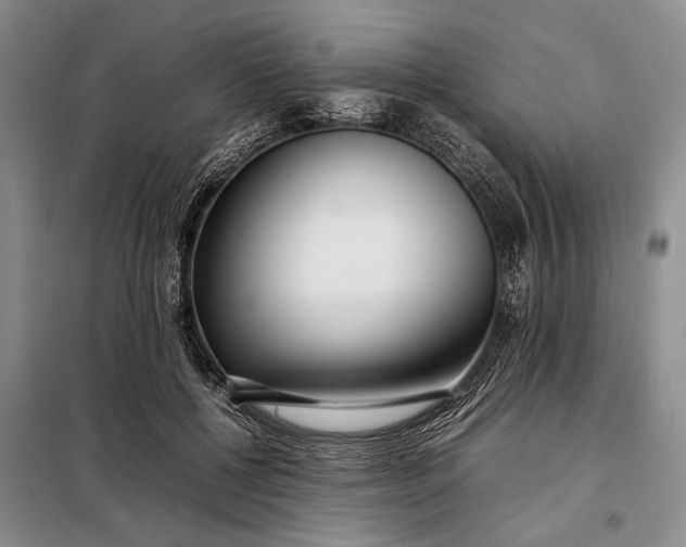 X0000098120552200804181523