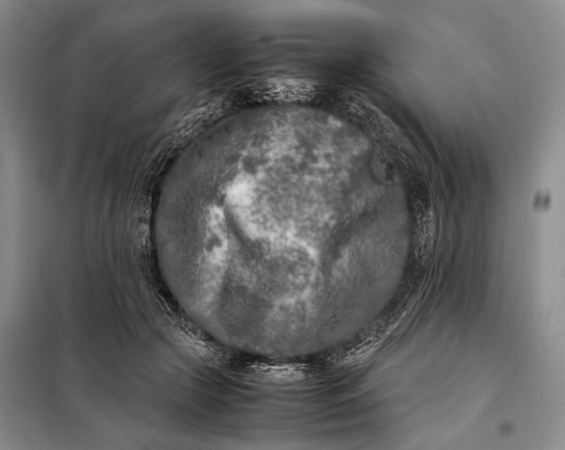 X0000098120553200804181523