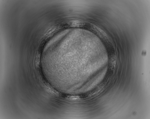 X0000098120554200804181523