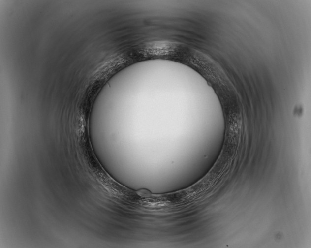 X0000098120555200804181523