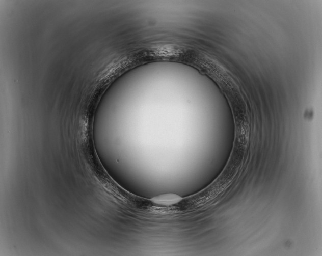 X0000098120556200804181523