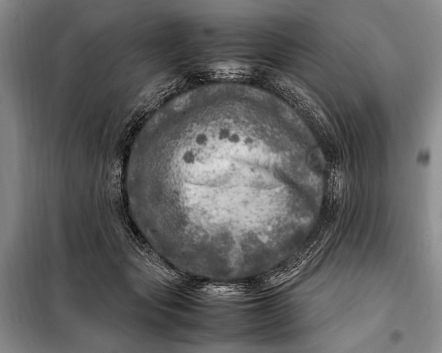 X0000098120557200804181523