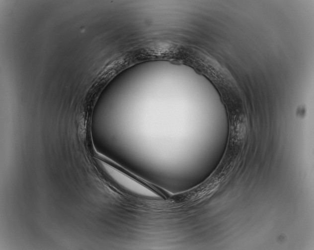 X0000098120558200804181523