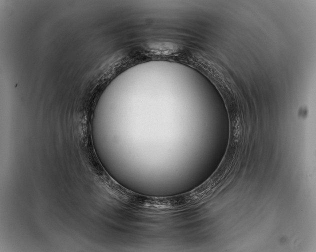 X0000098120559200804181523