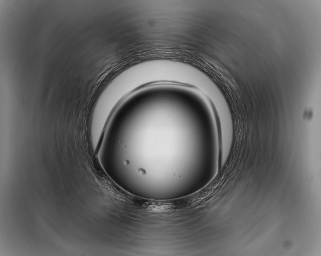 X0000098120560200804181523