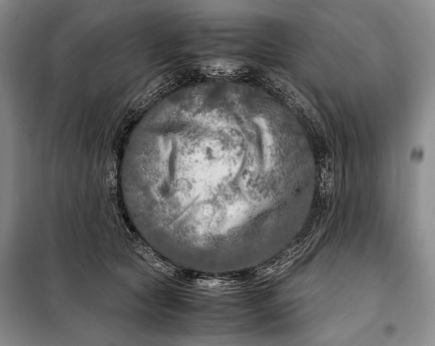 X0000098120561200804181523