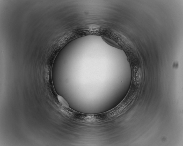 X0000098120562200804181523