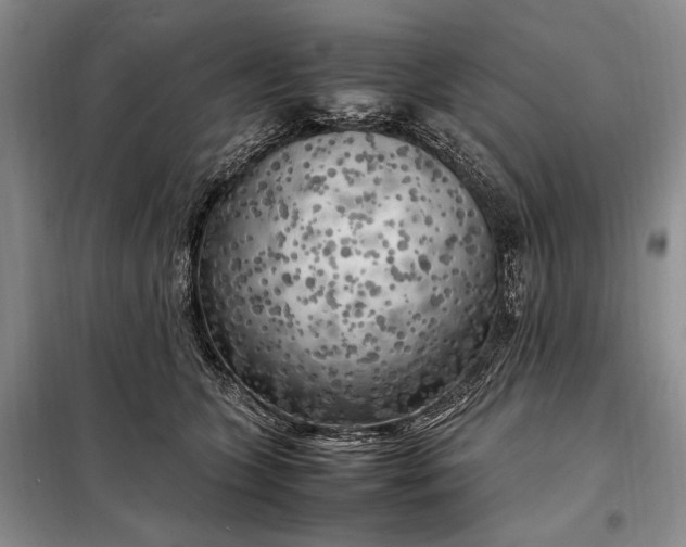 X0000098120563200804181523