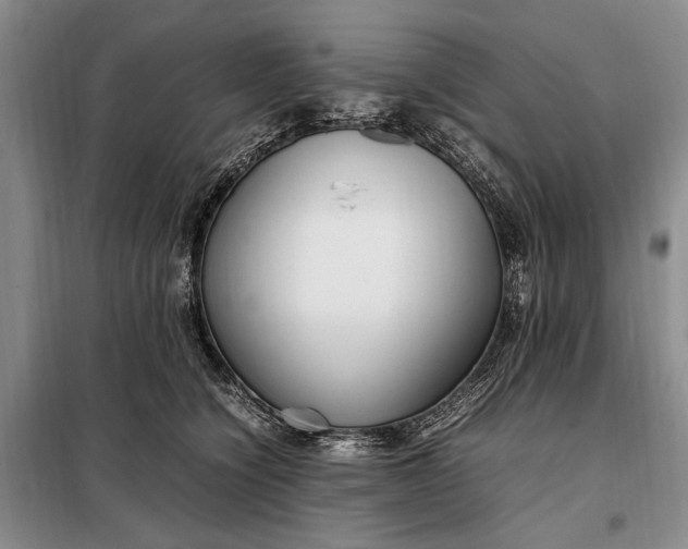 X0000098120564200804181523