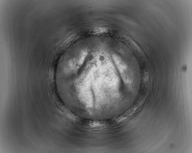 X0000098120565200804181523