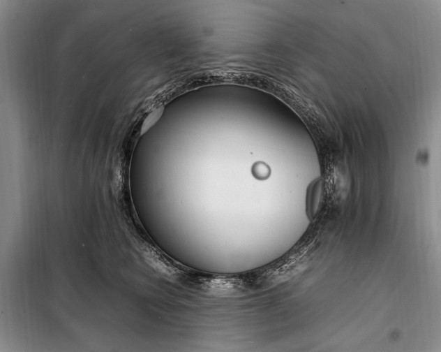 X0000098120566200804181523