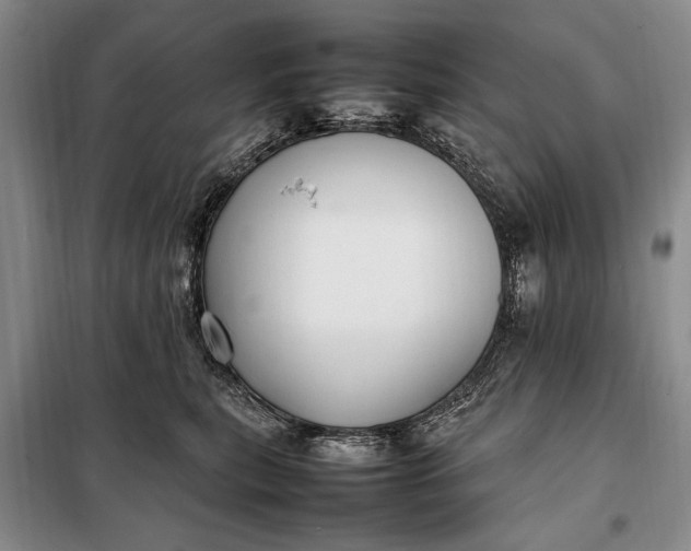 X0000098120567200804181523