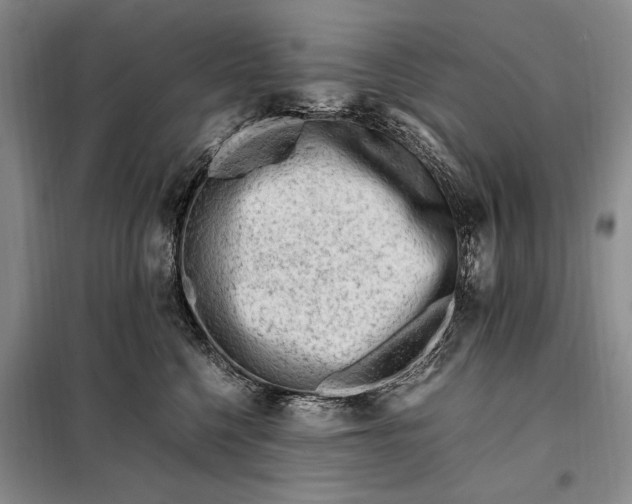 X0000098120568200804181523