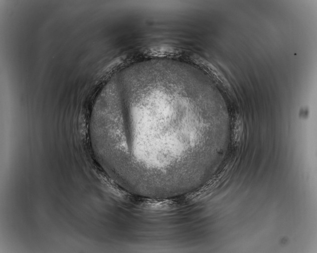 X0000098120569200804181523