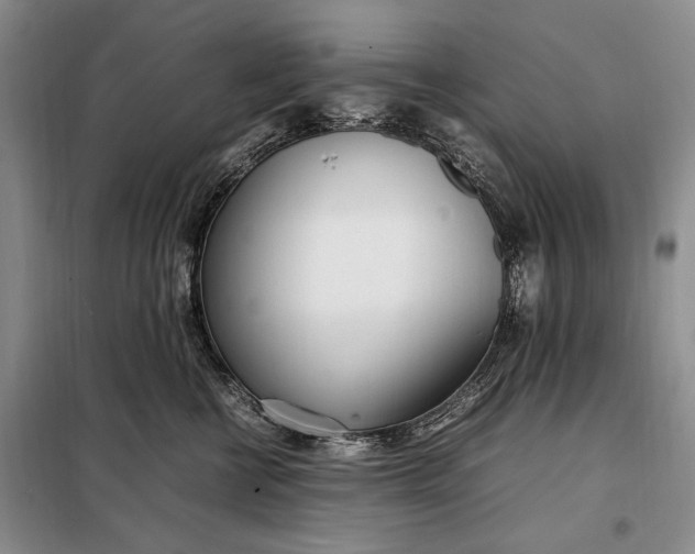 X0000098120570200804181523