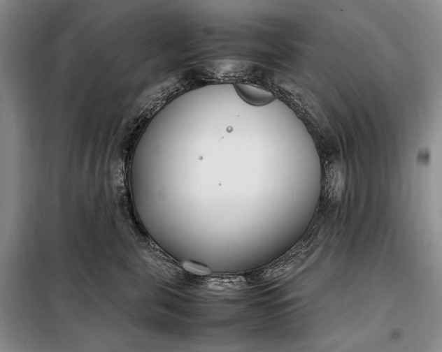 X0000098120571200804181523